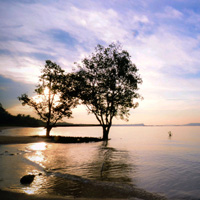 手机号验证码轰炸免费