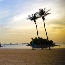 免费轰炸电话软件下载