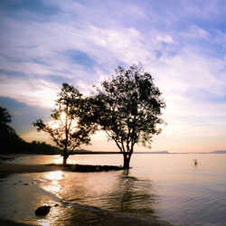 免费呼叫轰炸神器ios