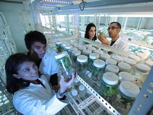 免费短信呼死你2023